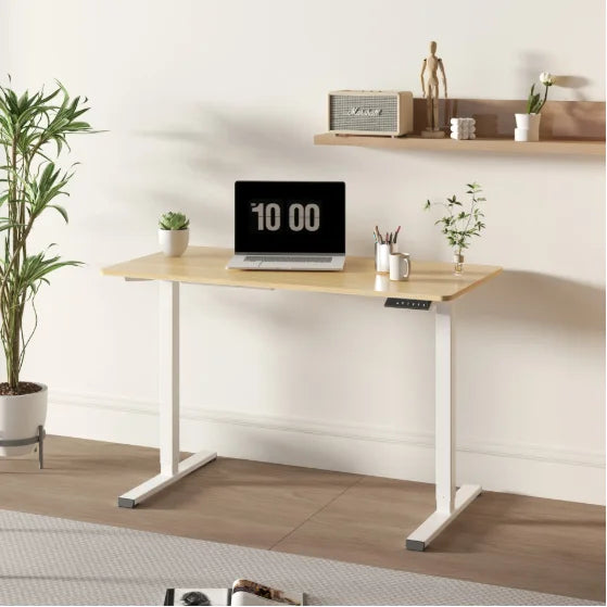Electric Adjustable Height Home Office Computer Workstation FCJ Sit Stand up Electric Standing Desk